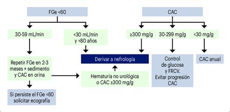 Como Calcular El Filtrado Glomerular En Ni Os Printable Templates Free