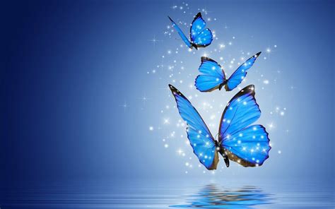 Butterfly Moon Wallpapers on WallpaperDog