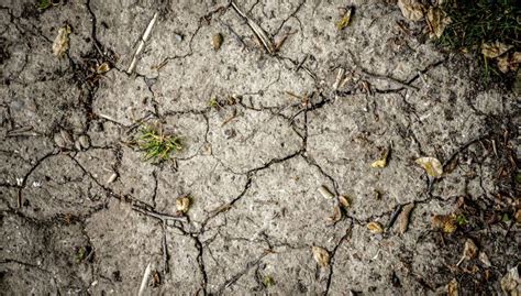 Forsyning Indf Rer Vandingsforbud I Kalundborg P Ubestemt Tid Bt