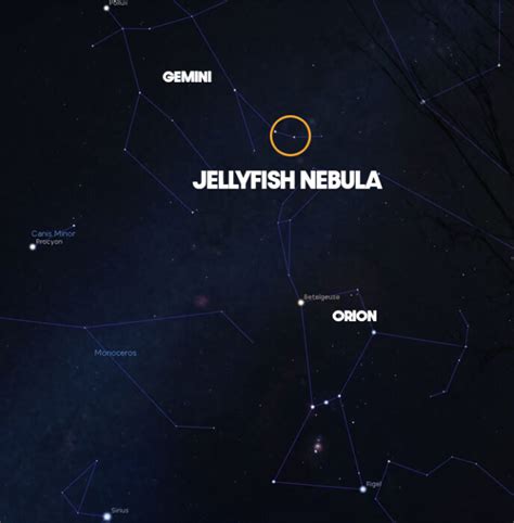 The Jellyfish Nebula in Gemini | Pictures, Facts, and Location