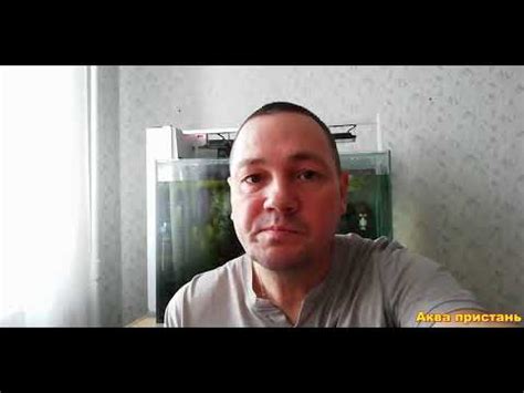 Углекислый газ и кислород в одном аквариуме - YouTube