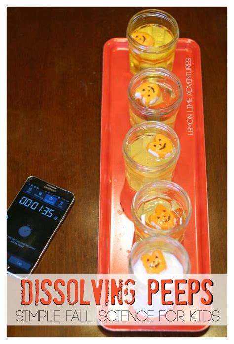 Dissolving Peeps Fall Science Experiment This Is Great For Halloween