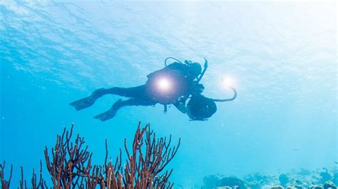 Underwater Photographer – NEELDIVING – SCUBA DIVING FOR BEGINNERS