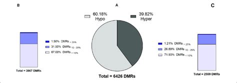 Numbers And Levels Of Significant Dmrs Identified In The Sperm Dna