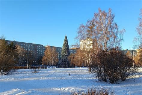 Новогодняя елка погасла на Юго-Западе в Екатеринбурге - МК Екатеринбург