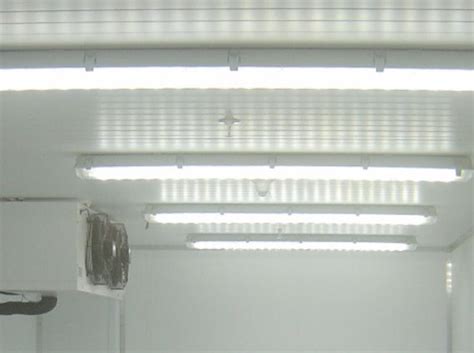 Cold Room Light, Led Lights For Freezer Rooms Manufacturer