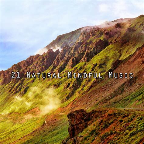 Natural Mindful Music Album By Sounds Of Nature Noise Spotify