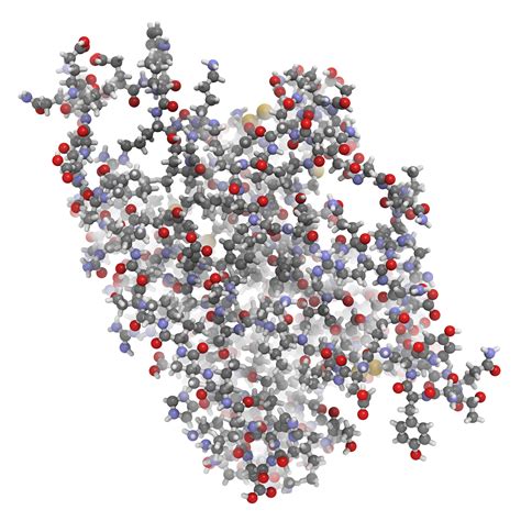 Interleukin 6 IL 6 Molecule Chemical Structure Xpress Biotech