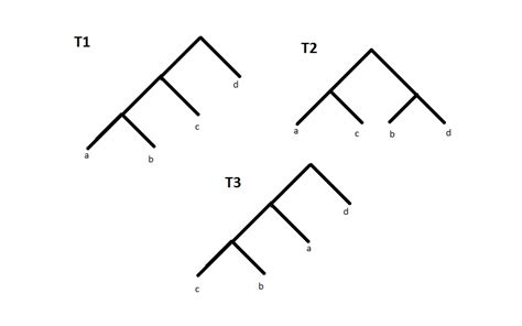 Phylogenetic Tree Comparison