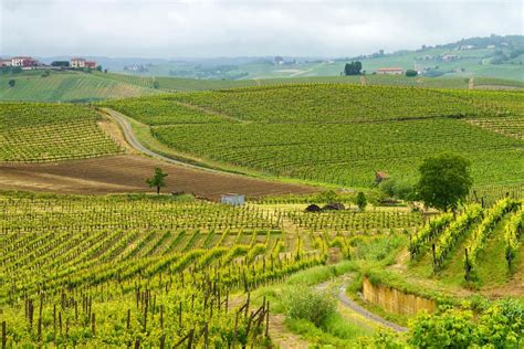 Alto Piemonte Gran Monferrato Citt Europea Del Vino Gambero Rosso