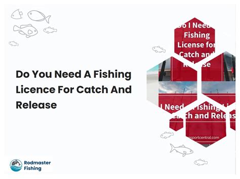 Do You Need A Fishing Licence For Catch And Release Rodmasterfishing