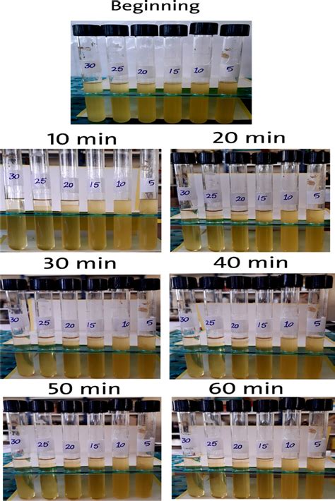 Bioethanol illustrative appearance and stability in... | Download ...