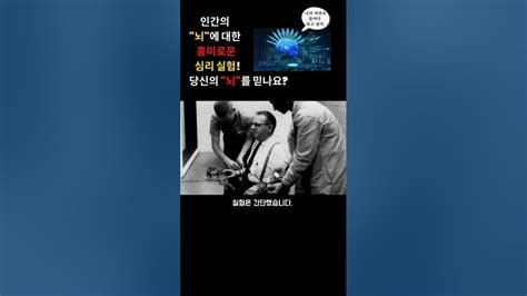 당신의 뇌를 믿나요 흥미로운심리실험 Shorts 부자습관 동기부여 성공 부자 습관 쇼츠 돈 가난 독서