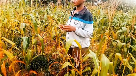 Judithxxx Porn Videos Sex Model Nudes Xhamster