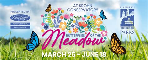 Krohn's Butterfly Show 2023: Butterflies of the Meadow