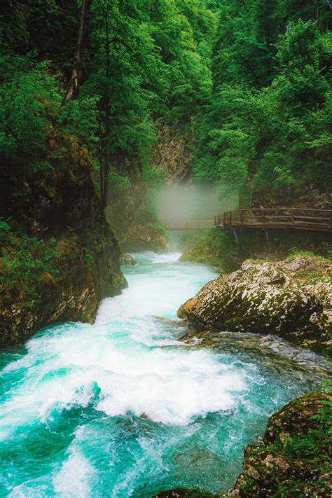 Aerial View of Wooden Bridge · Free Stock Photo