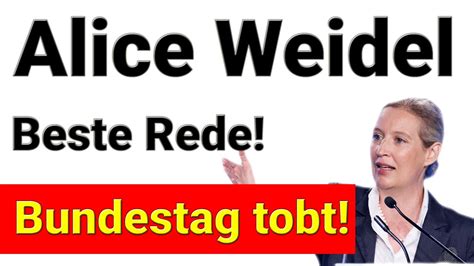 Alice Weidel Rechnet Mit Der Ampel Ab Bundestag Tobt Vor Wut YouTube