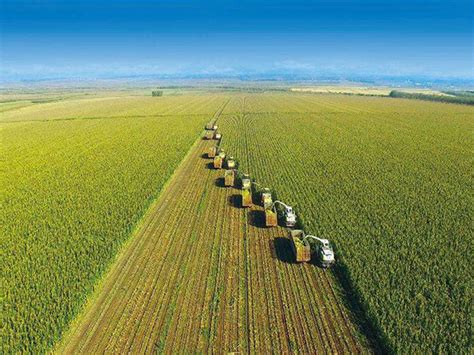 Arable Land Resistance To Sustainable Development In China