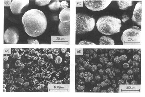 Figure From Effect Of Zro Inclusions On The Densification And