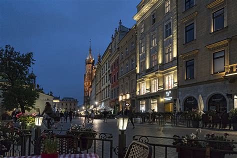 Krakow City Scenes - Purple Rosemary