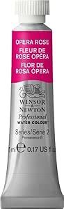 Amazon Winsor Newton Pintura Para Acuarela Profesional Arte