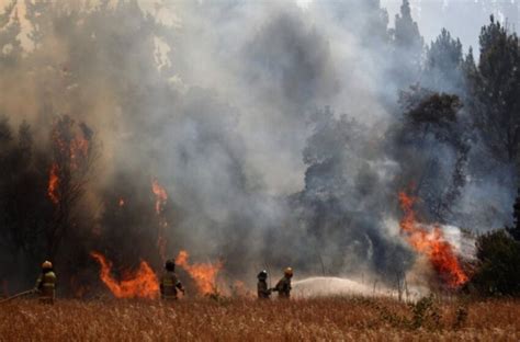 Conaf Reporta De Intencionalidad En Incendios Forestales En La