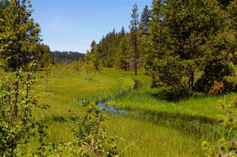 File:Camas Creek, Camas Prairie.jpg - Hiking in Portland, Oregon and Washington