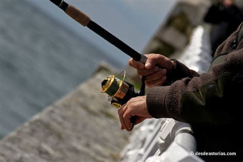 Rivers of Asturias: sport fishing Asturias | asturias.com