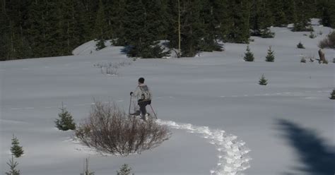 Geology Happens: metamorphism of snow