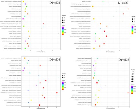 Kegg Pathway Enrichment Analysis Scatter Plots Show The Kegg Pathways