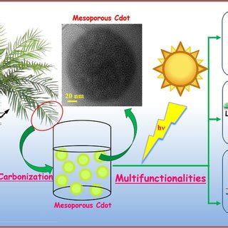 Schematic Depicting The Synthesis Of Cdot From Date Palm Fronds