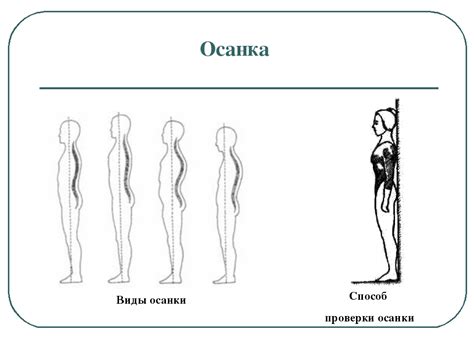 Опора тела и движение 3 класс школа россии презентация