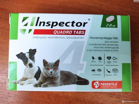 Ветеринарный препарат Neoterica Inspector Quadro tabs - «Инспектор спас ...