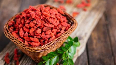 Goji Beeren Das Superfood Im Eigenen Garten Anpflanzen