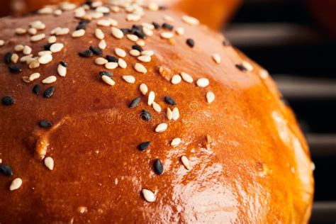 Sesame Seed Brioche Buns Stock Photos Free Royalty Free Stock