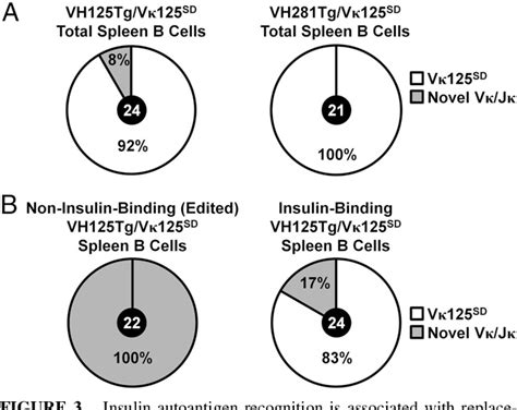 Figure 6 From Targeting Anti Insulin B Cell Receptors Improves Receptor