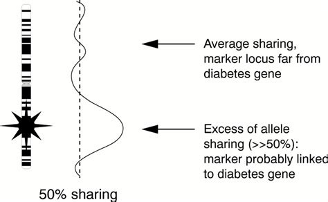 Defining The Genetic Contribution Of Type 2 Diabetes Mellitus Journal