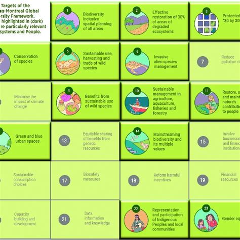 The 23 Targets Of The Kunming Montreal Global Biodiversity Framework