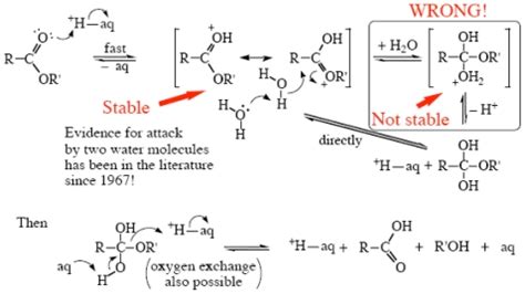 Acid hydrolysis of esters in | Download Scientific Diagram