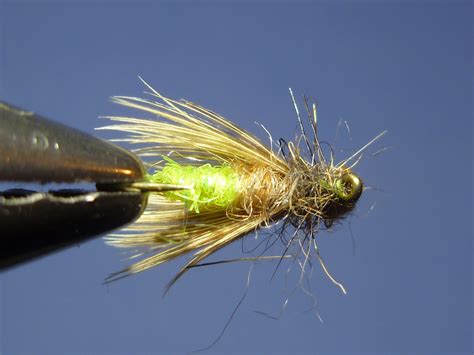 55 On The Fly Apple Caddis Spent Wing