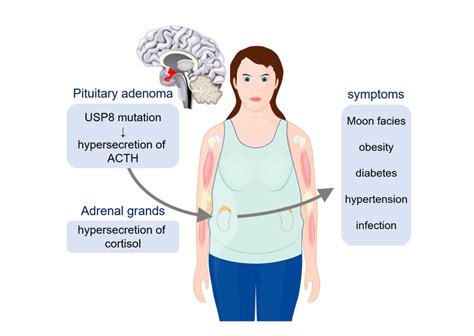 Figure 1 Signs And Symptoms O Image Eurekalert Science News Releases