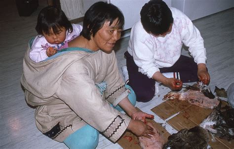 II.4: INUIT FOOD: 4. Cooking and Eating ~ People of the Arctic by John ...