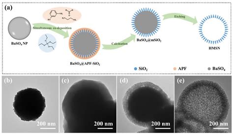 Nanomaterials Free Full Text Dendritic Mesoporous Silica Hollow