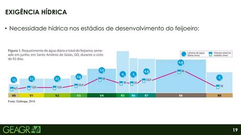 Fenologia E Fisiologia Do Feijoeiro Ppt