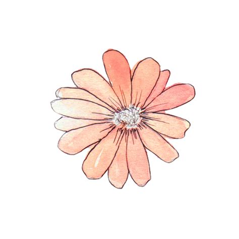 Download High Quality flowers transparent overlay Transparent PNG ...