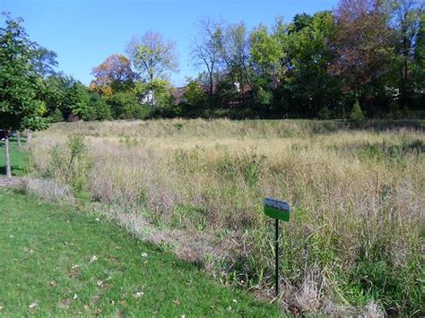 Pond Maintenance Naperville Park District