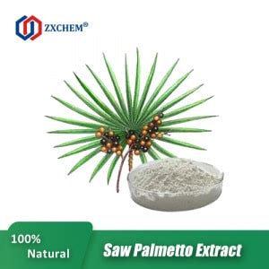 Saw Palmetto Extract - China Manufacturer - ZXCHEM GROUP