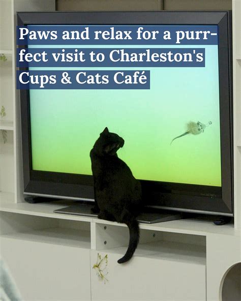 Reading Charleston Gazette Mail obituaries reveals local history 13