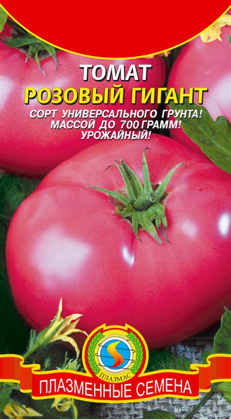 Томат РОЗОВЫЙ ГИГАНТ - Плазменные семена