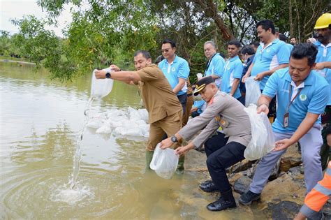 Pj Bupati Puncak Quarry Day 2023 PT SBA Upaya Menjaga Kelestarian